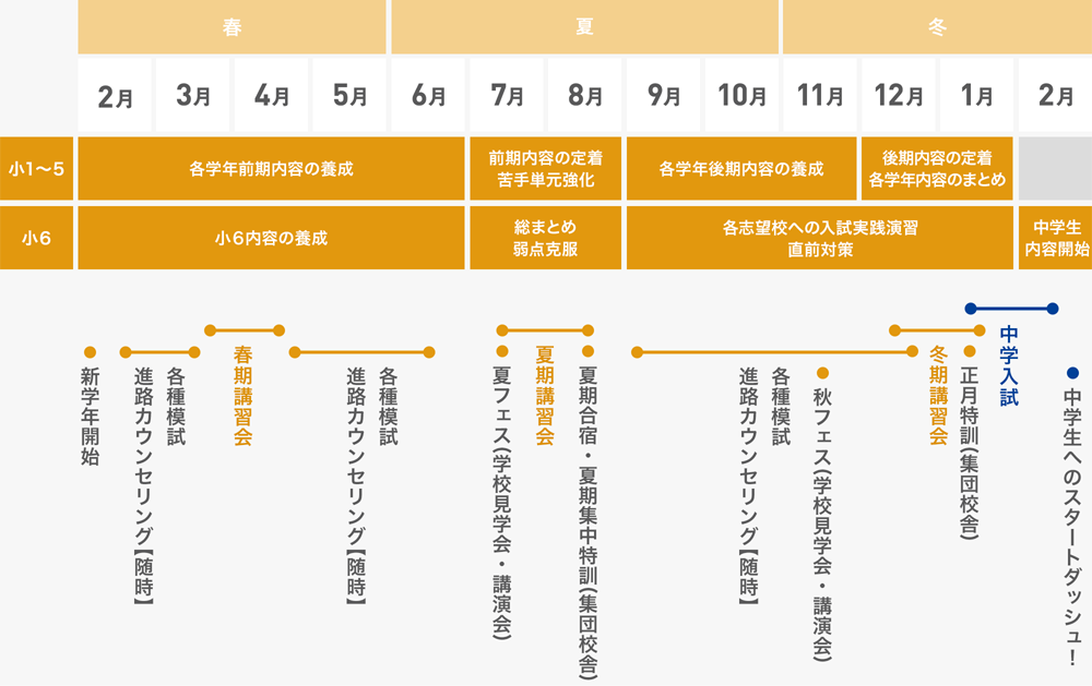 入試に向けた年間スケジュール