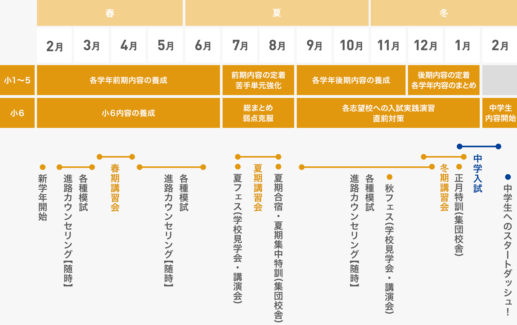 小学生の受験指導｜個別指導塾の早稲田アカデミー個別進学館